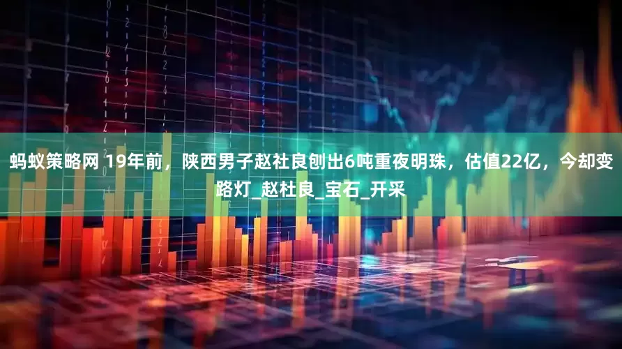 蚂蚁策略网 19年前，陕西男子赵社良刨出6吨重夜明珠，估值22亿，今却变路灯_赵杜良_宝石_开采