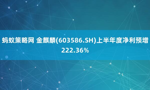 蚂蚁策略网 金麒麟(603586.SH)上半年度净利预增222.36%