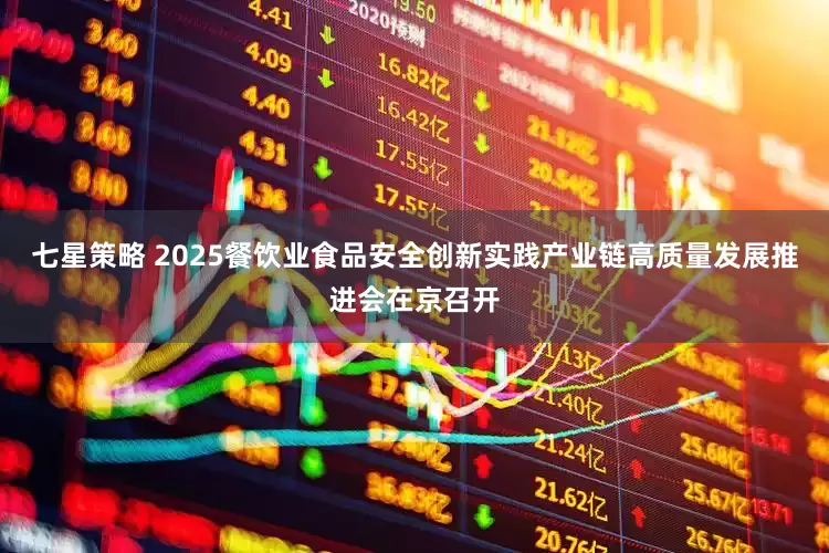 七星策略 2025餐饮业食品安全创新实践产业链高质量发展推进会在京召开