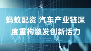 蚂蚊配资 汽车产业链深度重构激发创新活力