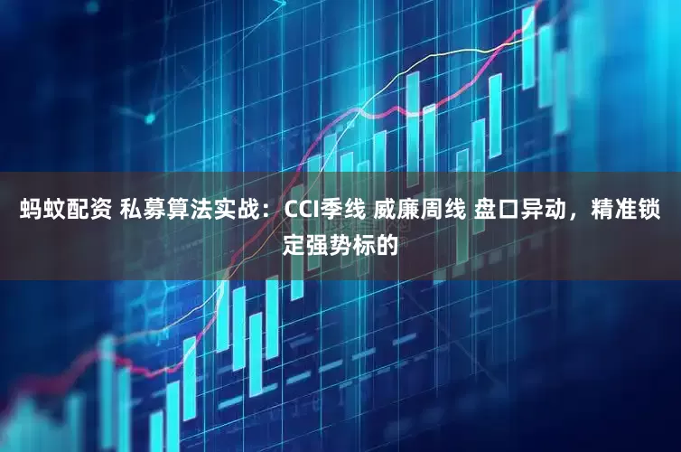 蚂蚊配资 私募算法实战：CCI季线 威廉周线 盘口异动，精准锁定强势标的