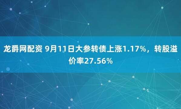 龙爵网配资 9月11日大参转债上涨1.17%，转股溢价率27.56%