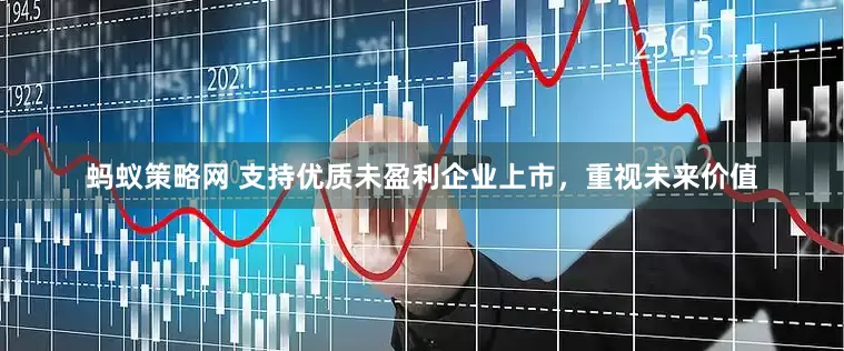 蚂蚁策略网 支持优质未盈利企业上市，重视未来价值
