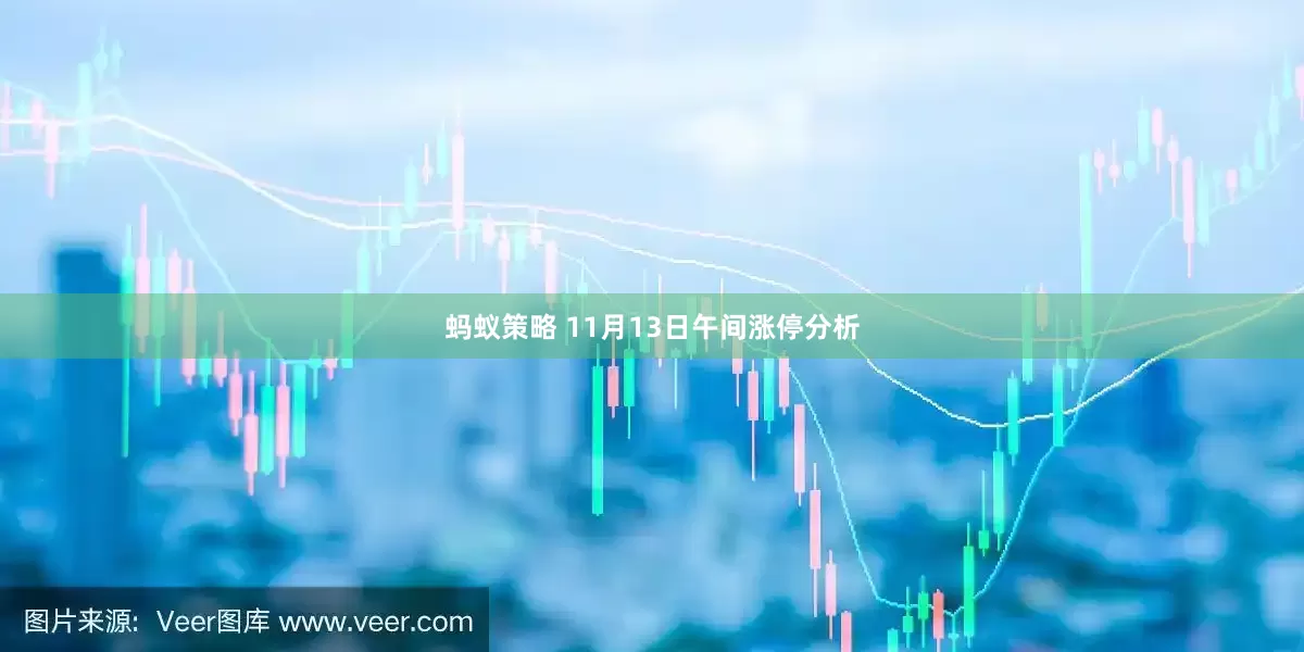 蚂蚁策略 11月13日午间涨停分析