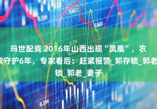 玛世配资 2016年山西出现“凤凰”，农村大叔守护6年，专家看后：赶紧报警_郭存锁_郭老_妻子