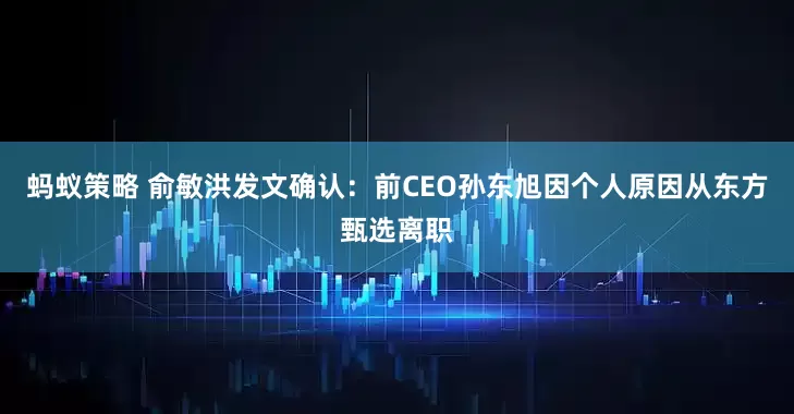 蚂蚁策略 俞敏洪发文确认：前CEO孙东旭因个人原因从东方甄选离职